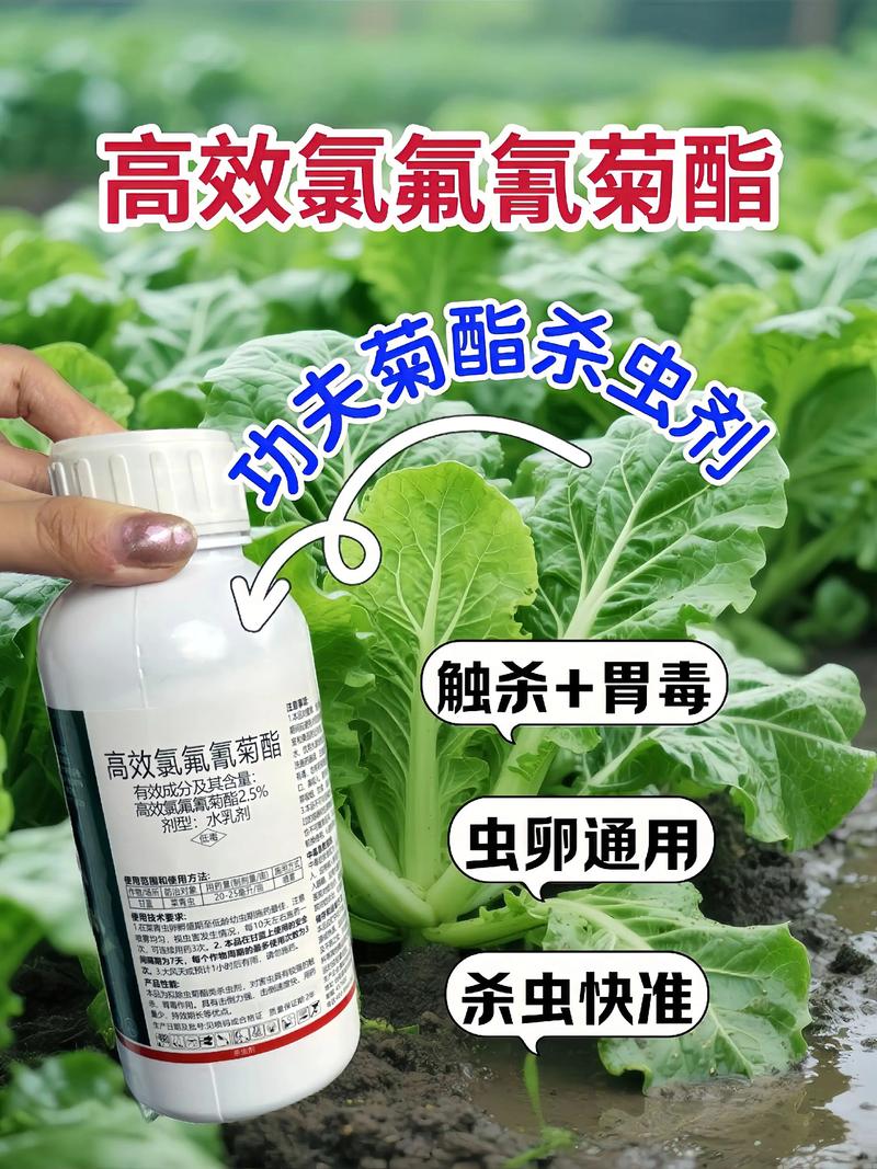 天津代生中心:农药对供卵代生妈妈的危害